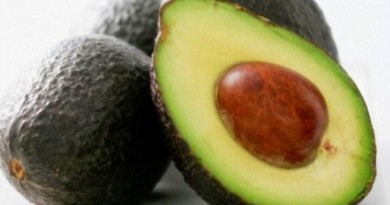 avocado consumption