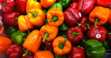 properties of pepper