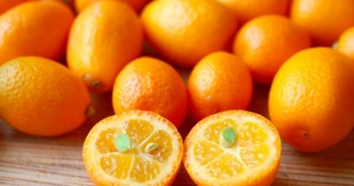 properties of kumquat