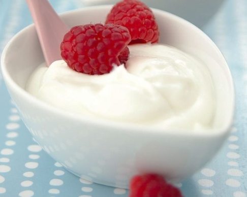 qualities of yogurt